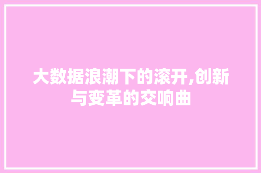 大数据浪潮下的滚开,创新与变革的交响曲 友链在线