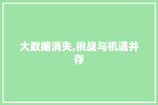 大数据消失,挑战与机遇并存 服务器/数据库