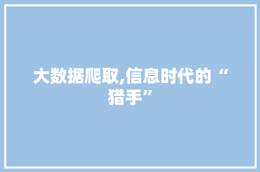 大数据爬取,信息时代的“猎手”