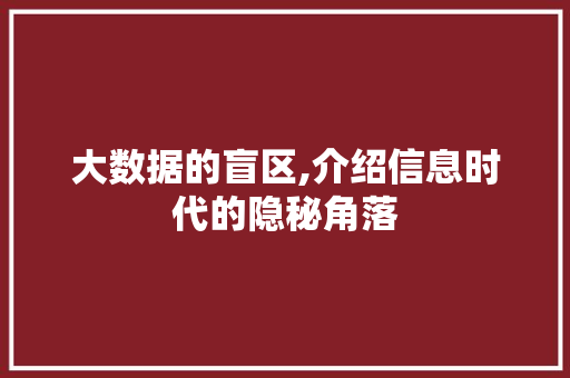 大数据的盲区,介绍信息时代的隐秘角落 SEO教程
