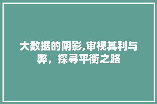 大数据的阴影,审视其利与弊，探寻平衡之路