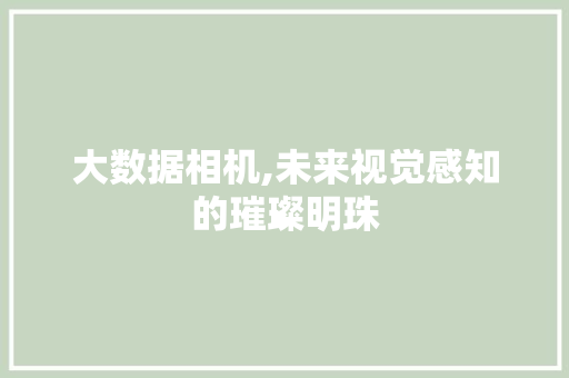 大数据相机,未来视觉感知的璀璨明珠 建站教程