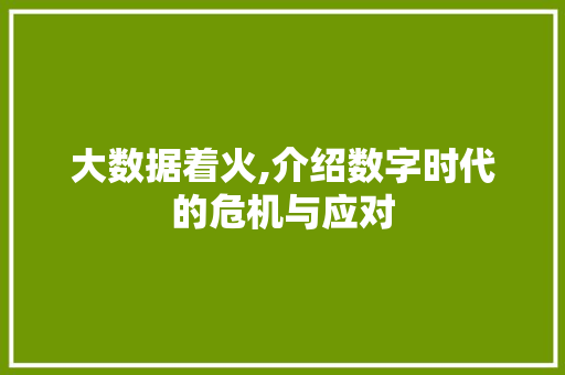 大数据着火,介绍数字时代的危机与应对 建站教程