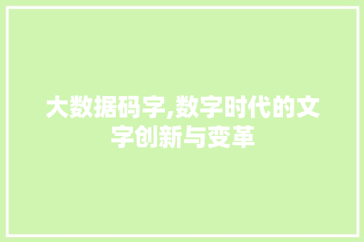 大数据码字,数字时代的文字创新与变革