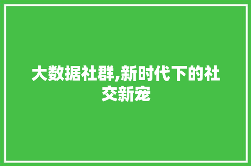 大数据社群,新时代下的社交新宠