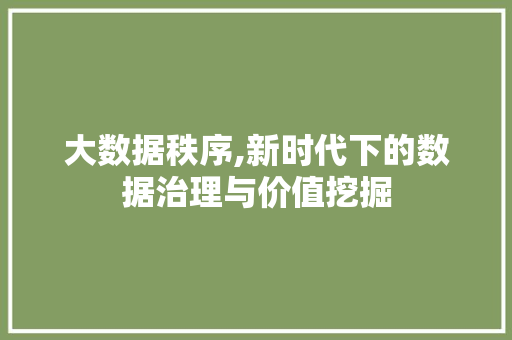 大数据秩序,新时代下的数据治理与价值挖掘