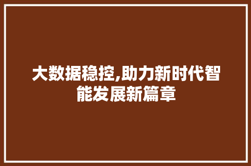 大数据稳控,助力新时代智能发展新篇章