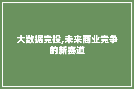 大数据竞投,未来商业竞争的新赛道