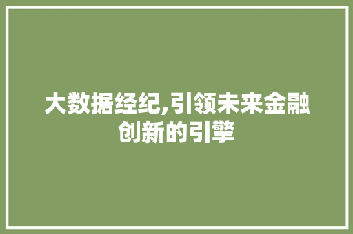 大数据经纪,引领未来金融创新的引擎