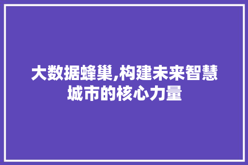 大数据蜂巢,构建未来智慧城市的核心力量