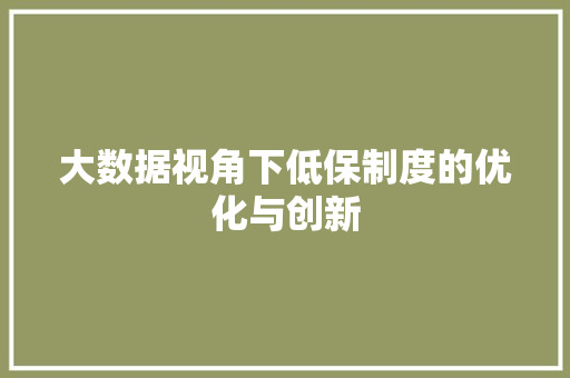 大数据视角下低保制度的优化与创新