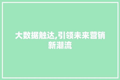 大数据触达,引领未来营销新潮流 SEO教程