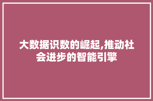 大数据识数的崛起,推动社会进步的智能引擎 WordPress教程