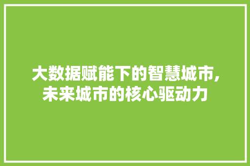 大数据赋能下的智慧城市,未来城市的核心驱动力 WordPress教程