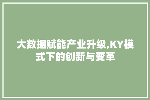 大数据赋能产业升级,KY模式下的创新与变革