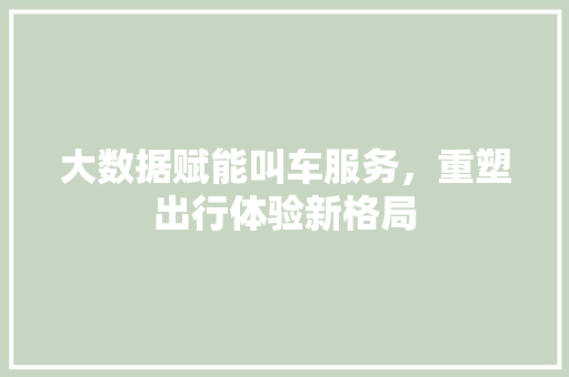 大数据赋能叫车服务，重塑出行体验新格局 建站教程