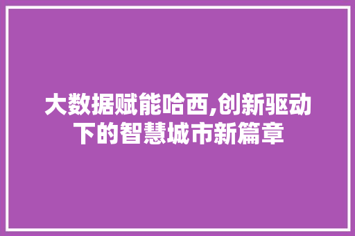 大数据赋能哈西,创新驱动下的智慧城市新篇章