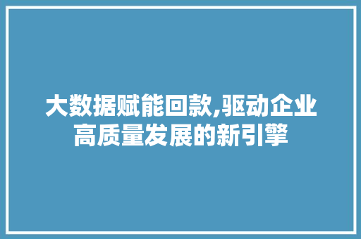 大数据赋能回款,驱动企业高质量发展的新引擎 WordPress教程