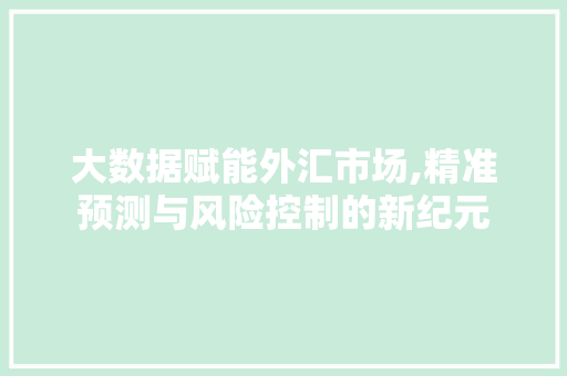 大数据赋能外汇市场,精准预测与风险控制的新纪元