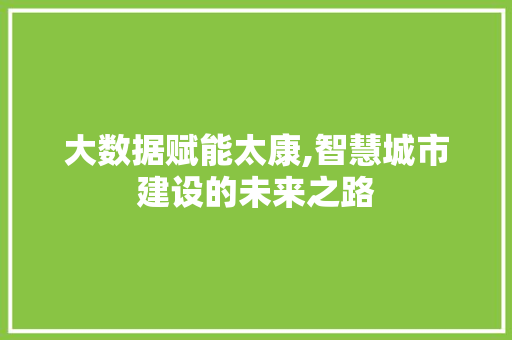 大数据赋能太康,智慧城市建设的未来之路