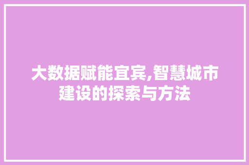 大数据赋能宜宾,智慧城市建设的探索与方法 Web前端