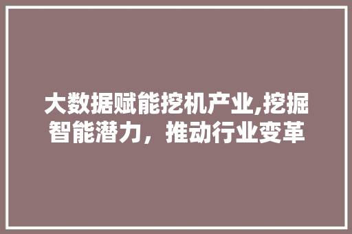 大数据赋能挖机产业,挖掘智能潜力，推动行业变革