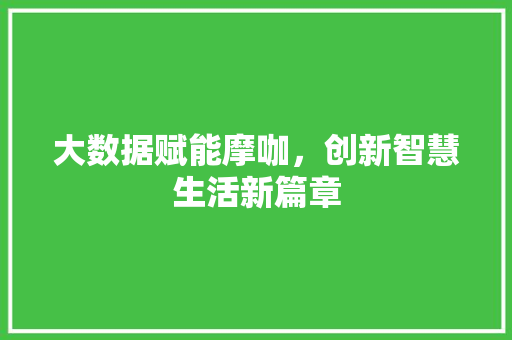 大数据赋能摩咖，创新智慧生活新篇章