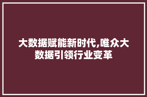 大数据赋能新时代,唯众大数据引领行业变革