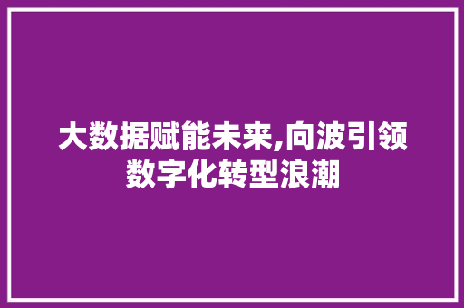 大数据赋能未来,向波引领数字化转型浪潮