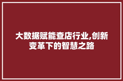 大数据赋能查店行业,创新变革下的智慧之路