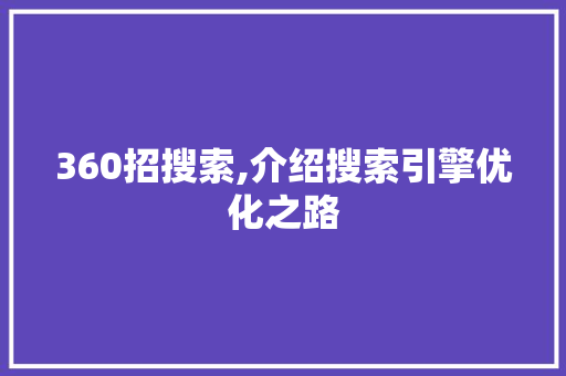 360招搜索,介绍搜索引擎优化之路 建站教程