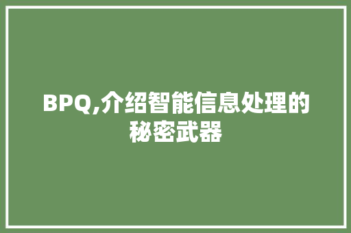 BPQ,介绍智能信息处理的秘密武器 WordPress教程