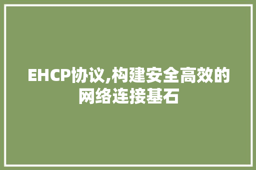 EHCP协议,构建安全高效的网络连接基石