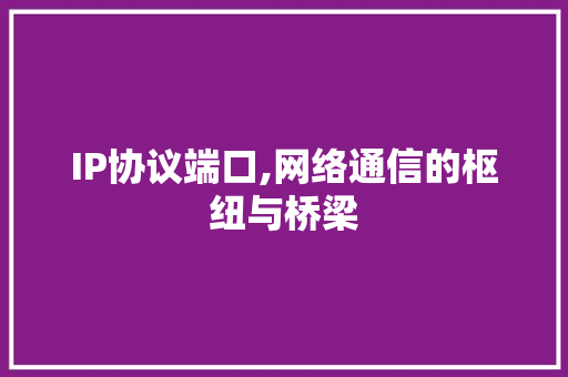 IP协议端口,网络通信的枢纽与桥梁 SEO教程