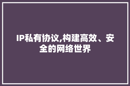 IP私有协议,构建高效、安全的网络世界