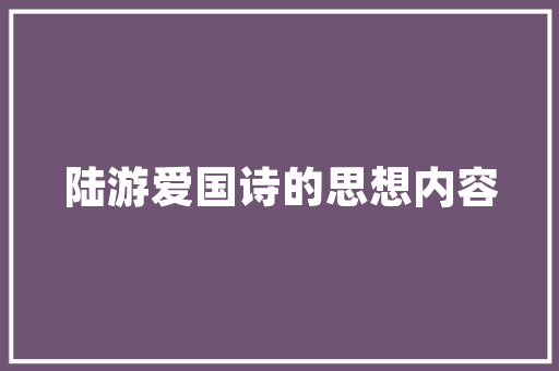 JSP边框的艺术,网页美学的创新之旅