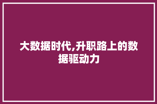 大数据时代,升职路上的数据驱动力