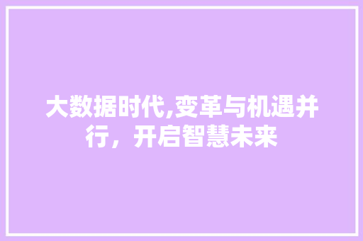 大数据时代,变革与机遇并行，开启智慧未来