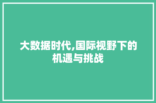 大数据时代,国际视野下的机遇与挑战
