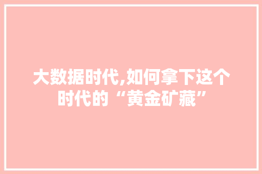 大数据时代,如何拿下这个时代的“黄金矿藏”