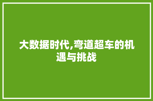 大数据时代,弯道超车的机遇与挑战