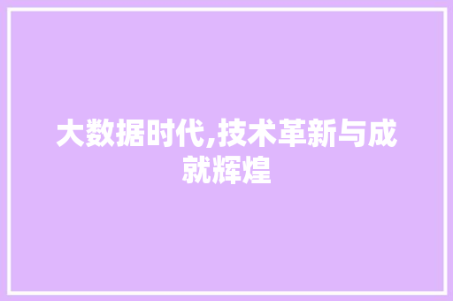 大数据时代,技术革新与成就辉煌