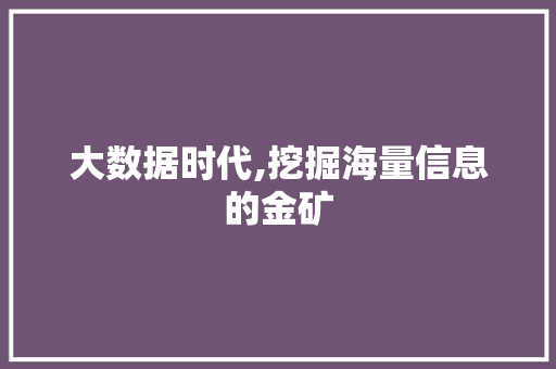大数据时代,挖掘海量信息的金矿 WordPress教程