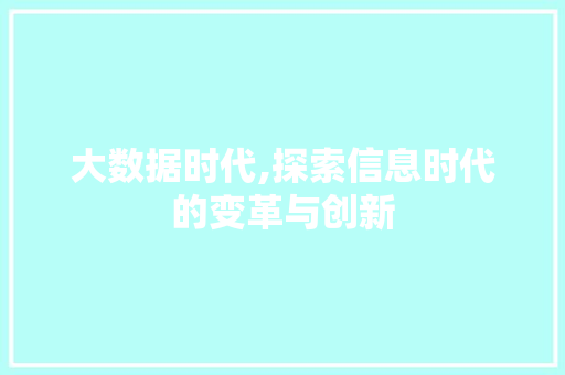 大数据时代,探索信息时代的变革与创新