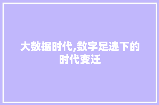 大数据时代,数字足迹下的时代变迁