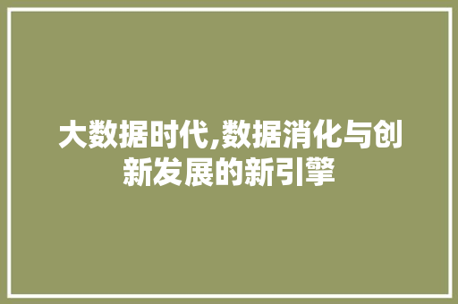 大数据时代,数据消化与创新发展的新引擎