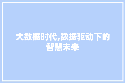 大数据时代,数据驱动下的智慧未来