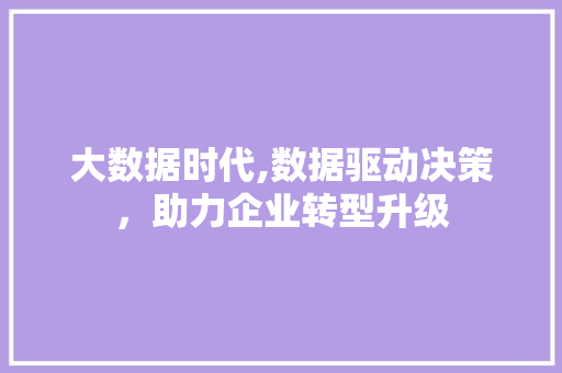大数据时代,数据驱动决策，助力企业转型升级