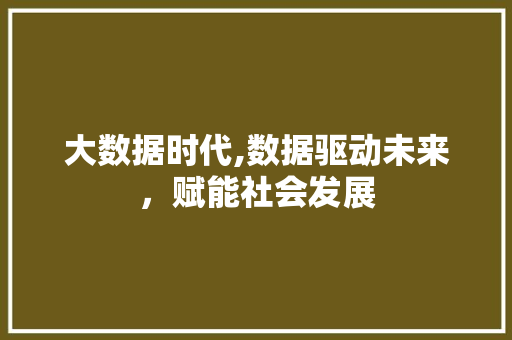 大数据时代,数据驱动未来，赋能社会发展