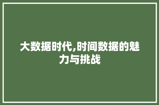 大数据时代,时间数据的魅力与挑战